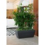 BKAN rectangular pot