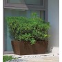 BKAN rectangular pot