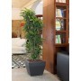 BKAN square pot