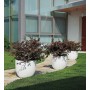 ATRIA lonac