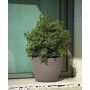 ATRIA pot