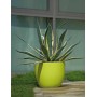 ATRIA pot
