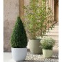 ATRIA pot