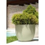 ATRIA pot