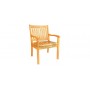 Kansas armchair