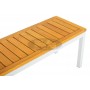 Giant Low bench 180