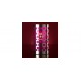 EDEN - mosaic, pink