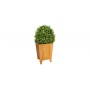 Flowerpot low