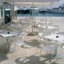 Cannes 69 stol z rokonasloni