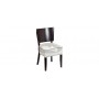 Lion chair
