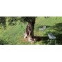 Bosque stol z rokonasloni