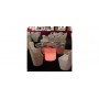 ASTOR light table