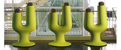 Plust Cactus: cvetlični lonec | sTorks